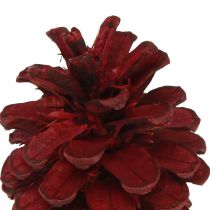 položky Čierne šišky Bordeaux ozdobné šišky červené 6-8cm 6 ks