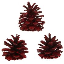 položky Čierne šišky Bordeaux ozdobné šišky červené 6-8cm 6 ks