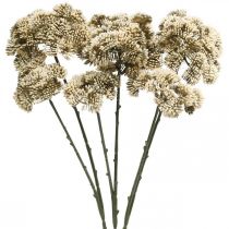 položky Sedum umelý kvet rozchodník krémová kvetinová dekorácia jeseň 70cm 3ks