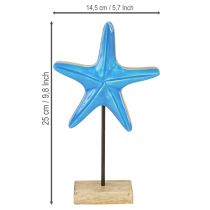 položky Dekorácia hviezdice na podstavci z morského prírodného modrého dreva V25cm