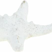 položky Nubs Starfish White 30ks