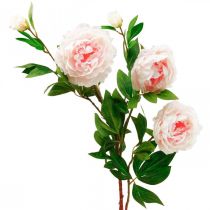 položky Hodvábny kvet pivonka umelá svetloružová, biela 135cm