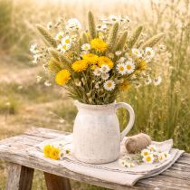 položky Sušené kvety štetinového prosa (Setaria) pre rustikálne a štýlové bytové doplnky 75 cm 220 g