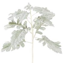 Článok Umelá vetvička Senecio (starček), prepracovane vyrobená, 45 cm, 3 kusy