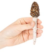 položky Umelý dekoratívny kolík v tvare smrčkov do kvetináčov a na stôl, 13 cm, 2 kusy