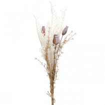 položky Makové kapsule deko sušené kvety umelá papraď krémová 63cm