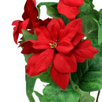 položky Kytica Poinsettia červená L47cm