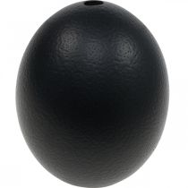 položky Veľkonočná dekorácia s vyfúknutým pštrosím vajcom čierna Ø12cm V14cm
