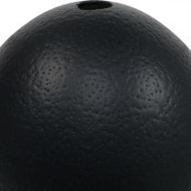 položky Dekorácia pštrosie vajíčko vyfúknuté Veľkonočná dekorácia čierna Ø12cm V14cm