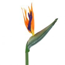 položky Strelitzia rajka kvetina umelá 98cm