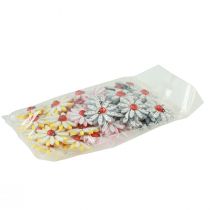 položky Bodová dekorácia lienka kvet drevo plsť farba Ø4cm 48 ks