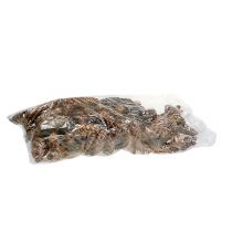 položky Strobus kužele 15 - 20cm maľované 100 kusov