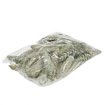 položky Dekorácia Strobus kužeľov jablkovo zelená bielo praná 15-20 cm 50 ks