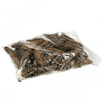 položky Šišky Biela borovica Strobus Natural Mix 2,5kg