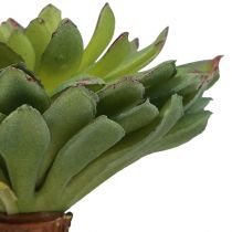 položky Šťavnatá echeveria umelá zelená rastlina zelená Ø6cm 10,5cm