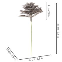 položky Umelé sukulentné voskové kvety dekorácia 10 cm 6 ks