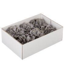 položky Umelé sukulentné voskové kvety dekorácia 10 cm 6 ks