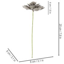 položky Umelá sukulentná vosková umelá rastlina s drôtom 8 cm 8 ks
