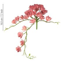 položky Umelý sukulent 28 roziet Aeonium staroružová 43 cm