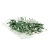 položky Echeveria sukulentná Ø6,5cm L11cm 6 ks