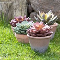 položky Šťavnatá rastlina v kvetináči Echeveria umelá červená vintage Ø15cm V16cm