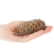položky Keramická dekorácia z borovicových šišiek, dekorácia na stôl, jeseň, 14 cm, 3 kusy
