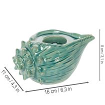 položky Držiak na čajové sviečky s mušľou, dekoratívna stolová sviečka do kúpeľne, obývačky 16 cm