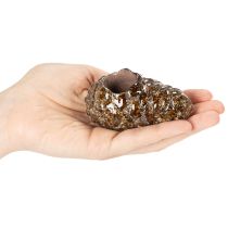položky Svietnik na čajové sviečky s dizajnom borovicovej šišky 8 cm, 3 ks