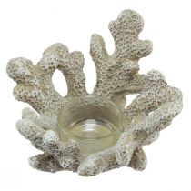 položky Svietnik na čajovú sviečku koralová dekorácia morská sivá Ø12cm V8cm