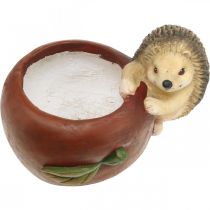 položky Kvetináč, jablko s ježkom, jesenná dekorácia, hrniec, keramika Ø16cm V22cm Š33cm