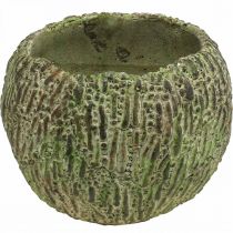 položky Kvetináč betónový starožitný vzhľad zelený, hnedý kvetináč okrúhly Ø15,5 cm