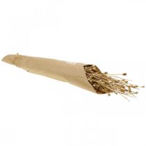 položky Sušené kvety mak kapsule prírodný sušený divoký sušený dekoračný strapec 100g