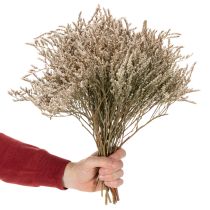 Článok Sušený kvet plážovej levandule kytica Statice nature 1kg