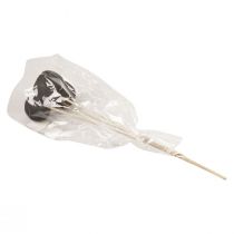 položky Sušené kvety ozdobné zvončekové poháre na stopke čierne 44cm 3 ks