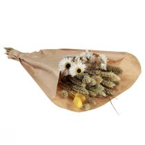 položky Sušená kytica slamené kvety Phalaris biela žltá 30cm