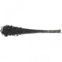 Článok Sušená ľanová dekoratívna tráva, čierna, 50-55 cm, 80 g