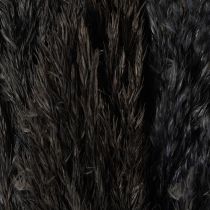 položky Suchá tráva, trstina, čierna, 70 cm, dekoratívny trend, 10 kusov