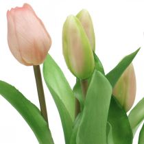 položky Tulipán ružový, zelený v črepníku Umelá črepníková rastlina dekoratívny tulipán V23cm