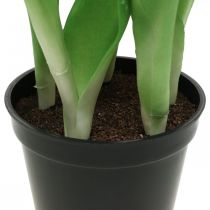 položky Tulipán ružový, zelený v črepníku Umelá črepníková rastlina dekoratívny tulipán V23cm