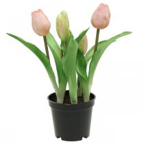 položky Tulipán ružový, zelený v črepníku Umelá črepníková rastlina dekoratívny tulipán V23cm