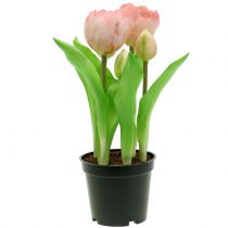 položky Umelé kvety v kvetináči Umelé tulipány ružovo žlté 22,5 cm