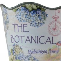 položky Kvetináč plastový kvetináč letné hortenzie Ø16,5cm V13,5cm