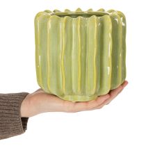 položky Kvetináč na kaktusy, ideálna miska pre exotické bytové doplnky, 16 cm