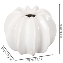 položky Dekoratívna váza s tekvicou, lesklá, jesenná dekorácia do obývačky, 19 cm