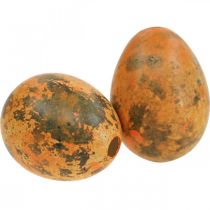 položky Prepeličie vajíčka dekorácia vyfúknuté vajíčka oranžová marhuľa 3cm 50 ks