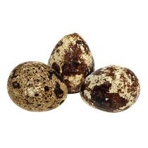 Prepeličie vajíčka ako dekorácia prázdne prírodné 50 kusov