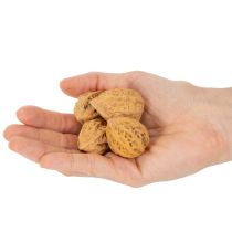 Článok Vlašské orechy, prírodný produkt na dekoráciu stolov a DIY projekty. Prírodné vlašské orechy, 4-5 cm, 300 g.