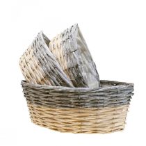 položky Prútený kôš na pestovanie Miska na rastliny L29/33/38cm sada 3 ks