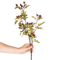 položky Umelá vetvička hlohu s červenými bobuľami, dekorácia, 110 cm