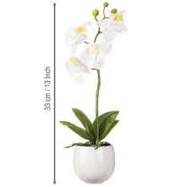 položky Umelé kvety orchidey v kvetináči Phalaenopsis V33 cm
